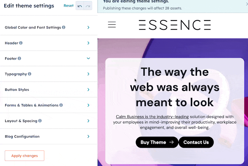 4)Theme-Settings-Button-Styles